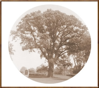 Boyd-Parker Historical Marker